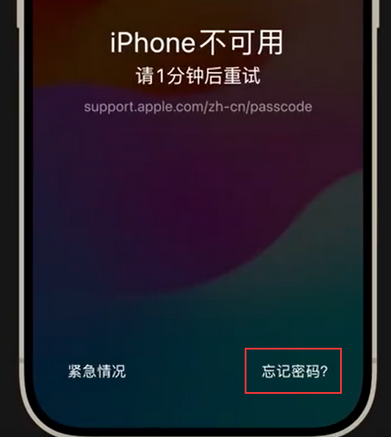 乐山苹果手机密码维修分享iPhone忘记了刚设置的密码 