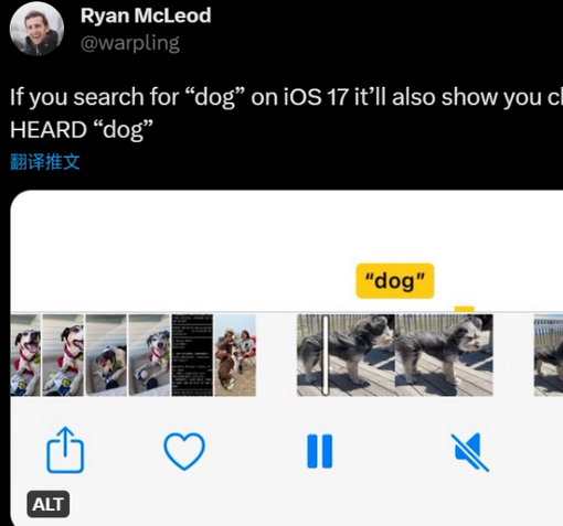 乐山apple维修店分享通过关键字搜索iPhone视频内声音 