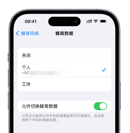 乐山苹果维修服务分享如何在iPhone上使用双卡 