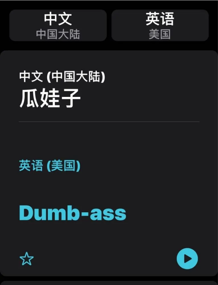 乐山苹果手机维修分享iOS14的“翻译太懂了”怎么用 